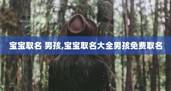 宝宝取名 男孩,宝宝取名大全男孩免费取名