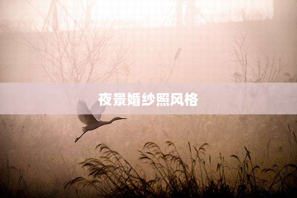 夜景婚纱照风格