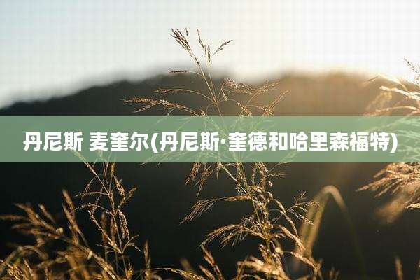 丹尼斯 麦奎尔(丹尼斯·奎德和哈里森福特)