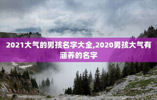 2021大气的男孩名字大全,2020男孩大气有涵养的名字
