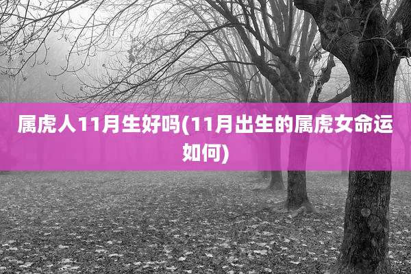 属虎人11月生好吗(11月出生的属虎女命运如何)