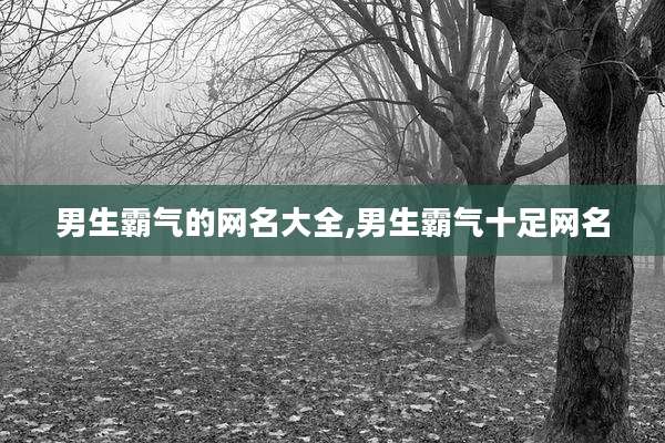 男生霸气的网名大全,男生霸气十足网名