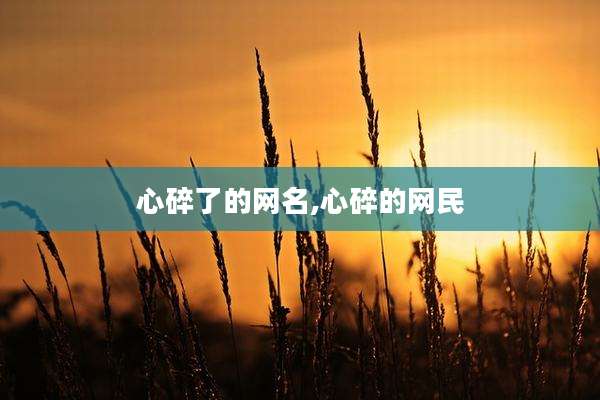 心碎了的网名,心碎的网民