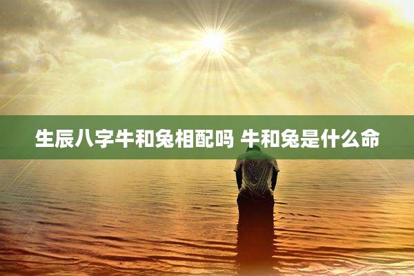 生辰八字牛和兔相配吗 牛和兔是什么命