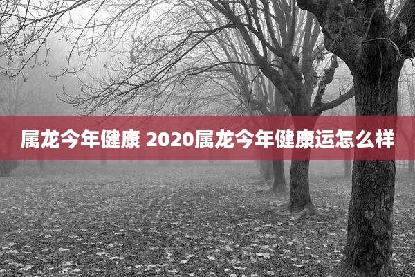 属龙今年健康 2020属龙今年健康运怎么样