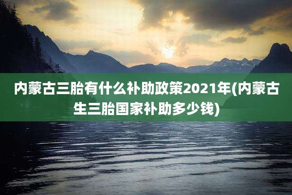 内蒙古三胎有什么补助政策2021年(内蒙古生三胎国家补助多少钱)