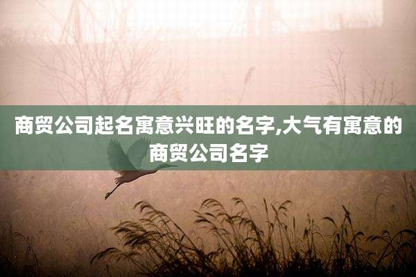 商贸公司起名寓意兴旺的名字,大气有寓意的商贸公司名字
