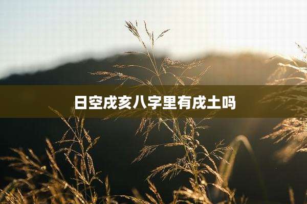 日空戌亥八字里有戌土吗