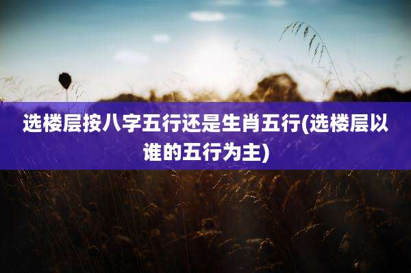 选楼层按八字五行还是生肖五行(选楼层以谁的五行为主)