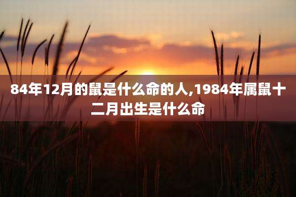 84年12月的鼠是什么命的人,1984年属鼠十二月出生是什么命