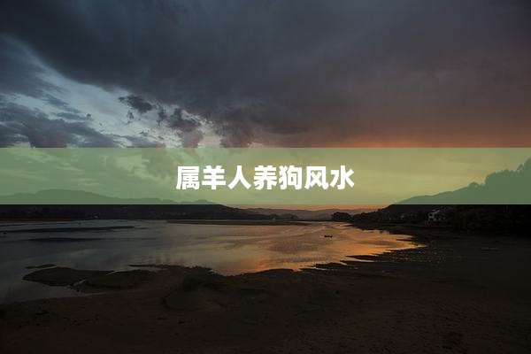 属羊人养狗风水