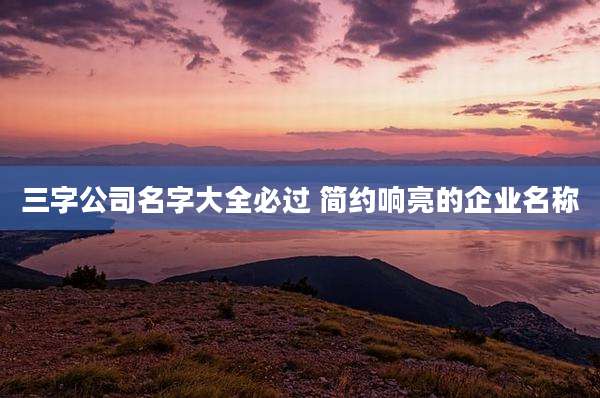 三字公司名字大全必过 简约响亮的企业名称