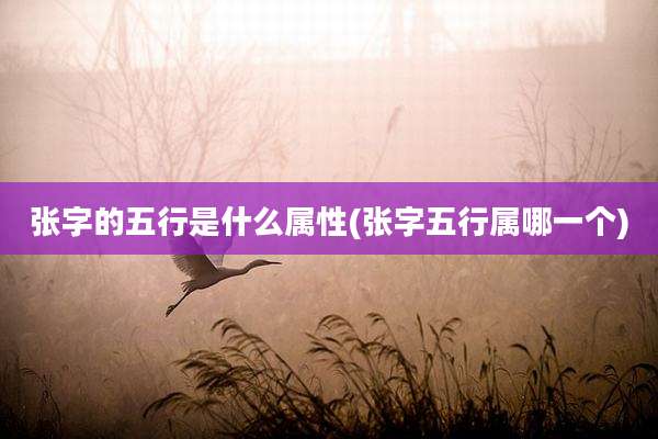 张字的五行是什么属性(张字五行属哪一个)
