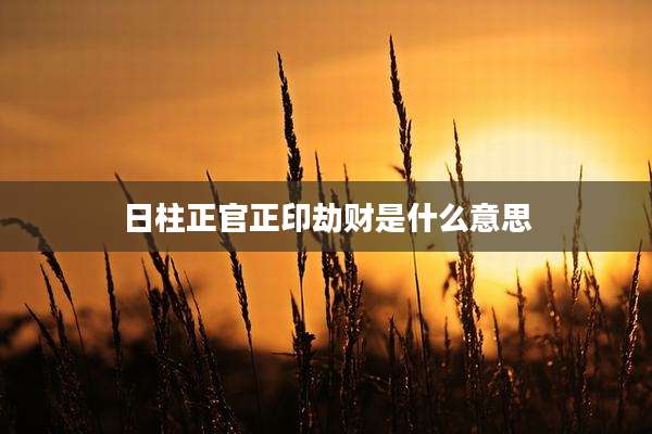 日柱正官正印劫财是什么意思