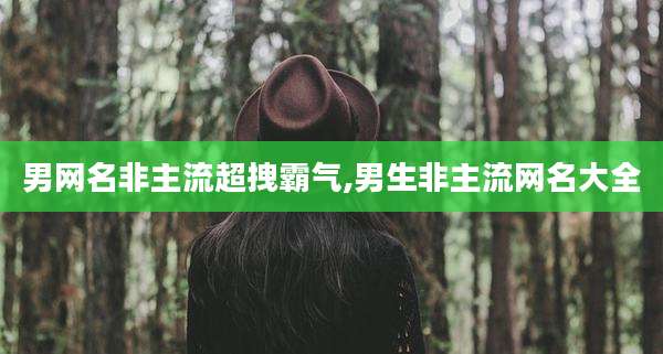 男网名非主流超拽霸气,男生非主流网名大全