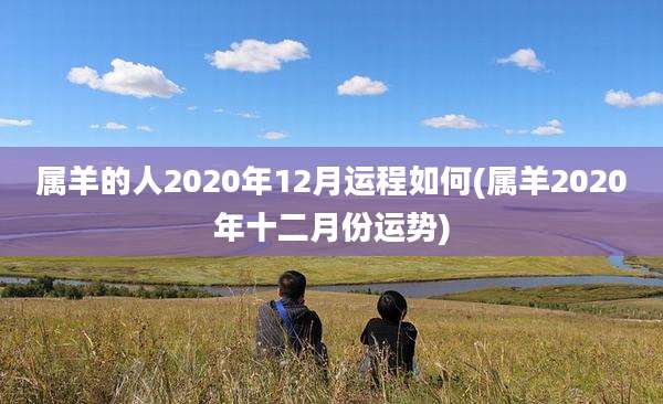 属羊的人2020年12月运程如何(属羊2020年十二月份运势)