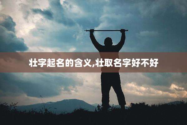 壮字起名的含义,壮取名字好不好