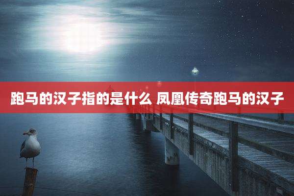 跑马的汉子指的是什么 凤凰传奇跑马的汉子