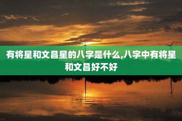 有将星和文昌星的八字是什么,八字中有将星和文昌好不好