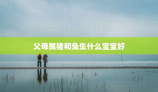 父母属猪和兔生什么宝宝好