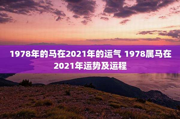 1978年的马在2021年的运气 1978属马在2021年运势及运程