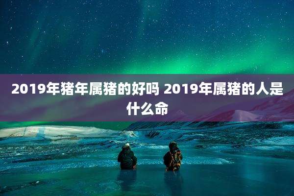 2019年猪年属猪的好吗 2019年属猪的人是什么命