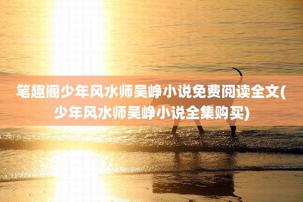 笔趣阁少年风水师吴峥小说免费阅读全文(少年风水师吴峥小说全集购买)