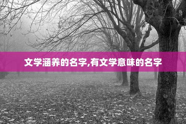 文学涵养的名字,有文学意味的名字