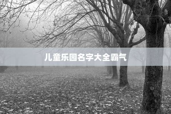 儿童乐园名字大全霸气