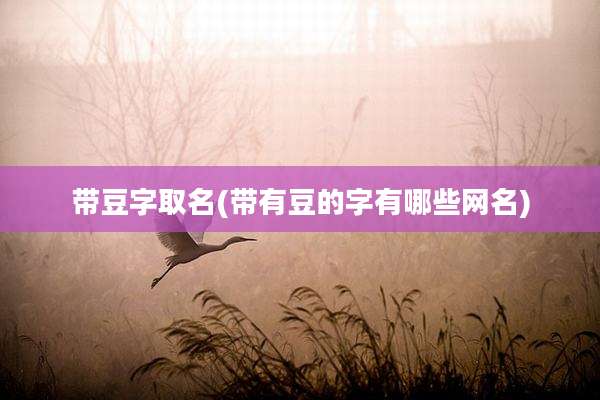 带豆字取名(带有豆的字有哪些网名)