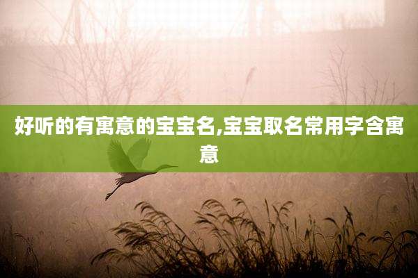 好听的有寓意的宝宝名,宝宝取名常用字含寓意