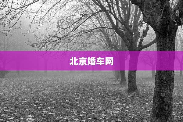 北京婚车网