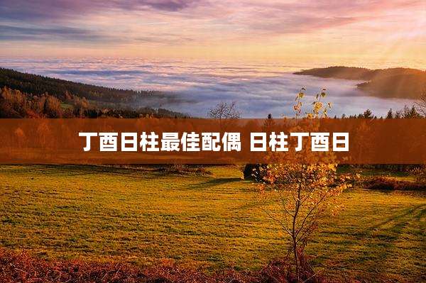 丁酉日柱最佳配偶 日柱丁酉日