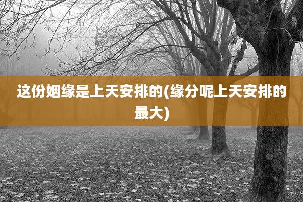 这份姻缘是上天安排的(缘分呢上天安排的最大)
