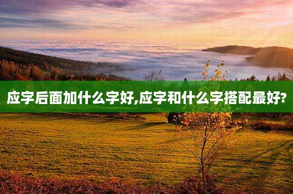 应字后面加什么字好,应字和什么字搭配最好?