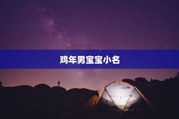 鸡年男宝宝小名