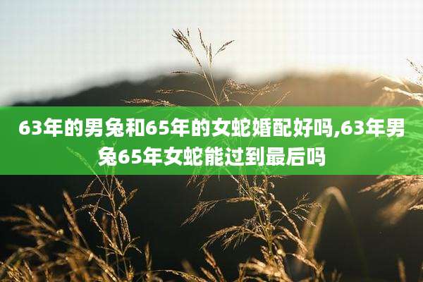 63年的男兔和65年的女蛇婚配好吗,63年男兔65年女蛇能过到最后吗