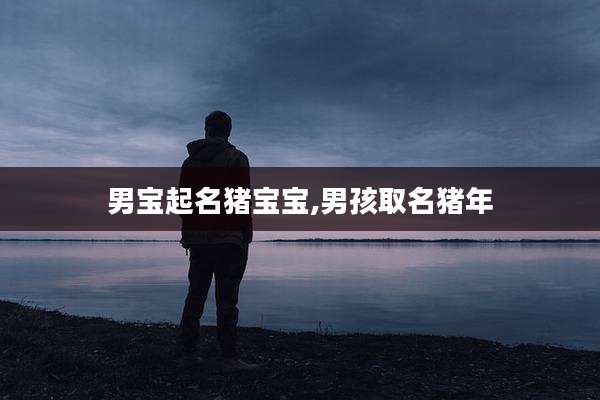 男宝起名猪宝宝,男孩取名猪年