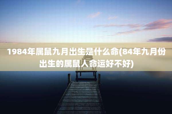 1984年属鼠九月出生是什么命(84年九月份出生的属鼠人命运好不好)