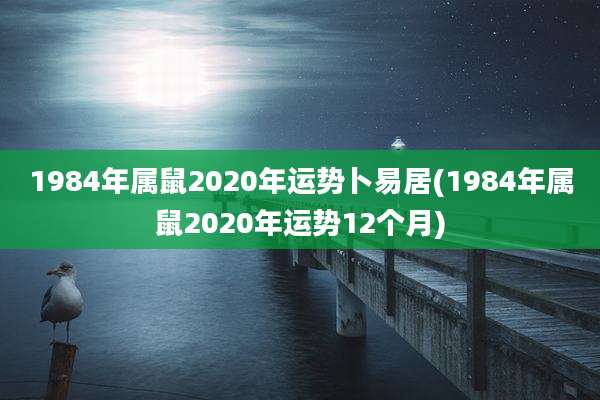 1984年属鼠2020年运势卜易居(1984年属鼠2020年运势12个月)