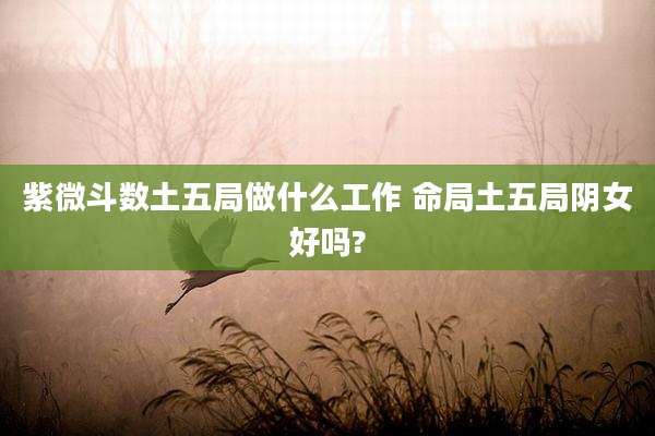 紫微斗数土五局做什么工作 命局土五局阴女好吗?