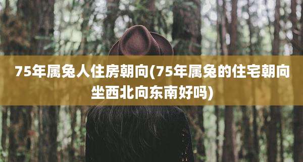 75年属兔人住房朝向(75年属兔的住宅朝向坐西北向东南好吗)
