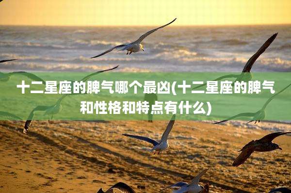 十二星座的脾气哪个最凶(十二星座的脾气和性格和特点有什么)