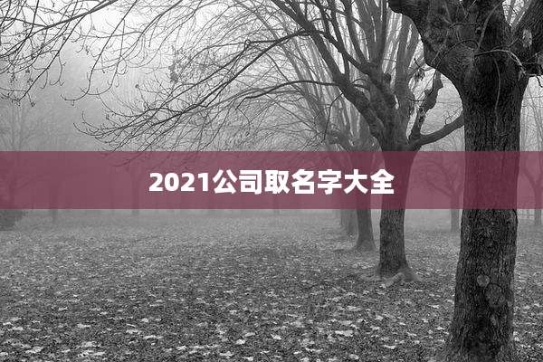 2021公司取名字大全