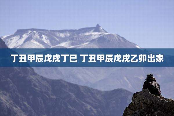 丁丑甲辰戊戌丁巳 丁丑甲辰戊戌乙卯出家