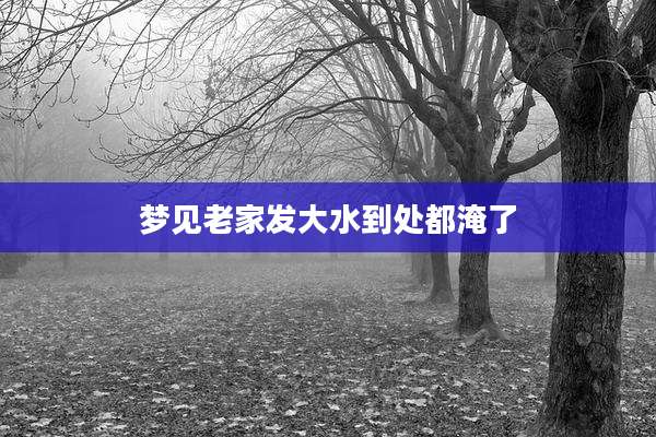 梦见老家发大水到处都淹了