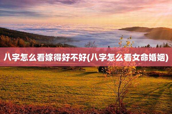 八字怎么看嫁得好不好(八字怎么看女命婚姻)