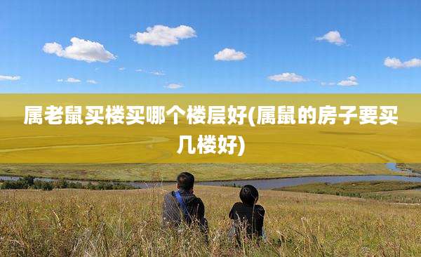 属老鼠买楼买哪个楼层好(属鼠的房子要买几楼好)