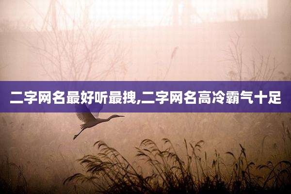 二字网名最好听最拽,二字网名高冷霸气十足