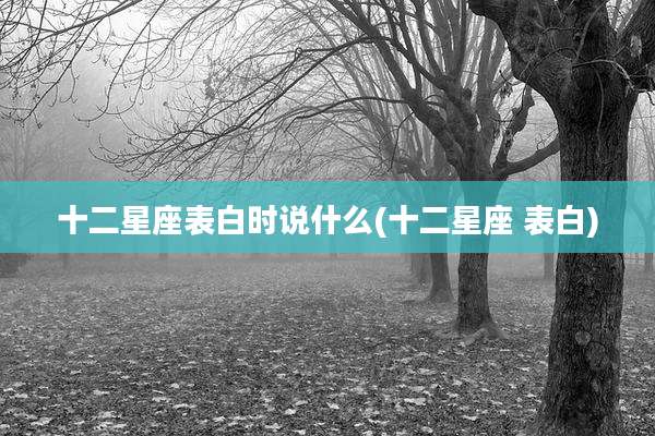 十二星座表白时说什么(十二星座 表白)